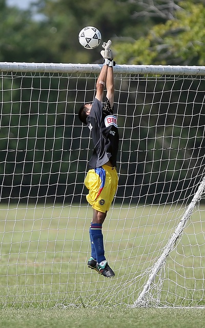 他的缺席无 他的缺席无