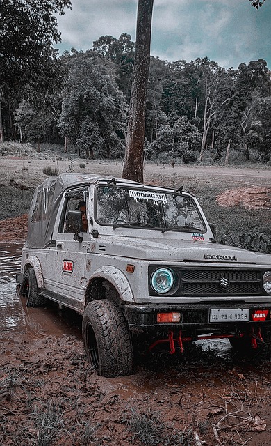 球迷的支持 球迷的支持