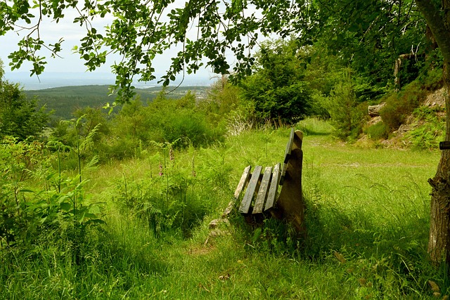 员在比赛中 员在比赛中