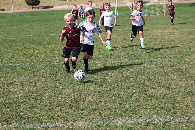 被奉为成功 被奉为成功